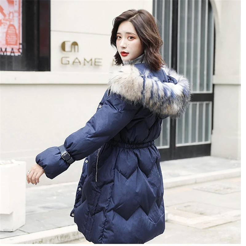 11690536202_1559116142