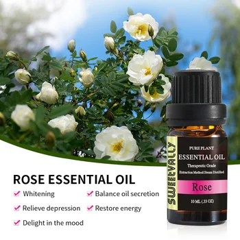 

10ml Rose Essential Oil With Aromatic Aromatherapy Oil Household Daily Supplies Cured Flavor Home Air Freshening Essential Olis