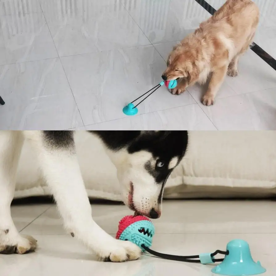 

Pet Dog Toy Sucker Leaking Molar Food Ball Rubber Ball with Suction Cup Teeth Cleaning Pet Supplies Dog Molar Exercise Toy
