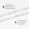 DC 12V RGB LED Strip Light Waterproof SMD 2835 1 - 5 M  60LED/M RGB 12 V Led Strips Light Waterproof TV Backlight Living Room ► Photo 3/6