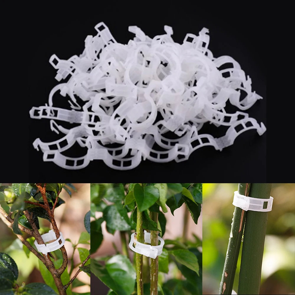 Greenhouse Plant Fixing Clips Garden Plants Flowers Tied Bundle Branch Clip Clamping Tools Garden Supplies Plant Clips 50 Pcs