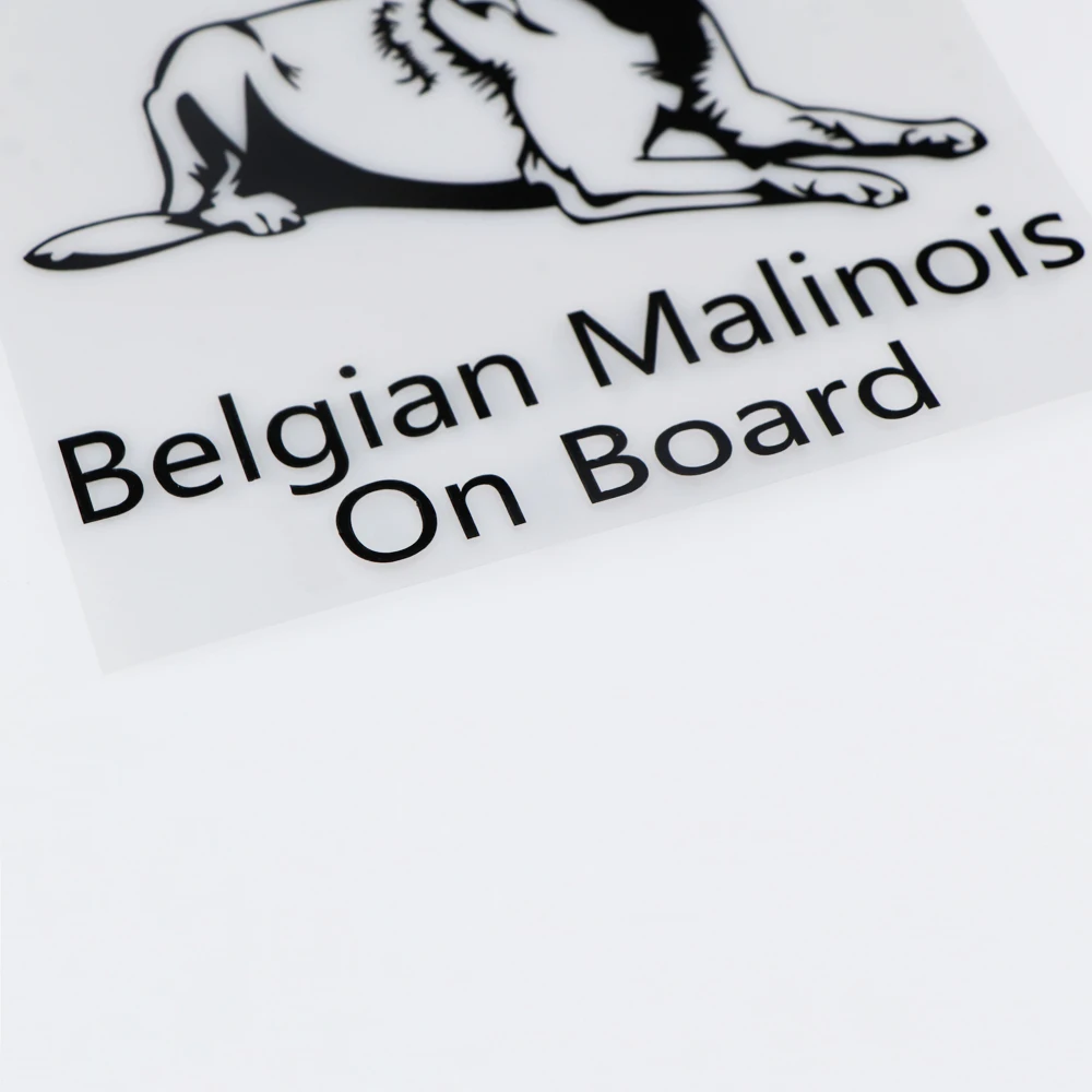 YOJA 16X15.1CM Belgian Shepherd Malinois на доске Виниловая Наклейка Декор автомобиля стикер ZT2