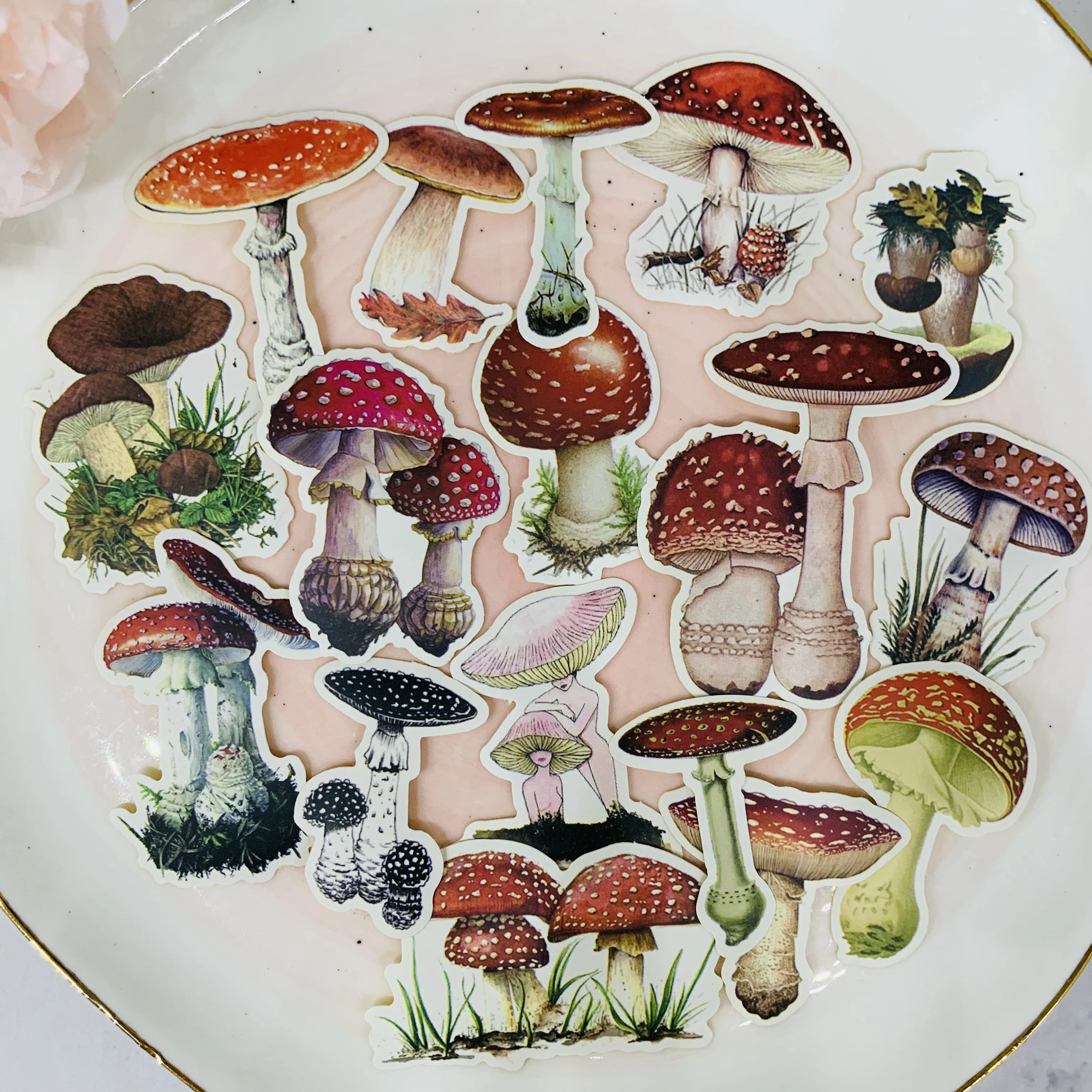 17Pcs/Bag Vintage Mushroom Sticker DIY Craft Scrapbooking Album Junk Journal Happy Planner Decorative Stickers | Канцтовары для