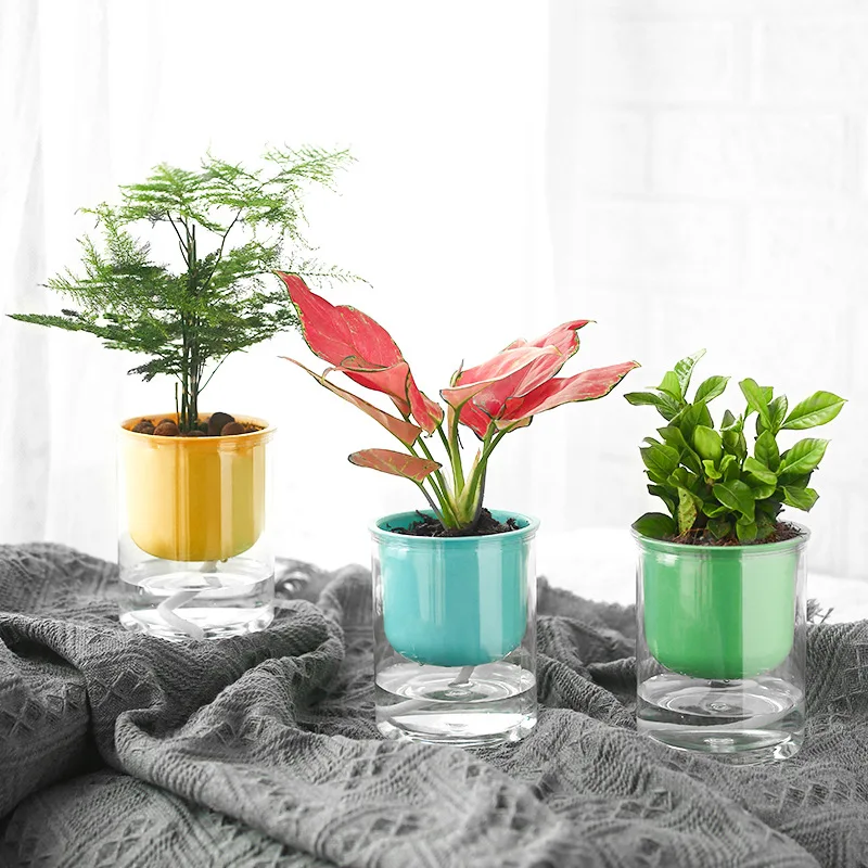 

1pc Color Transparent Plastic Flower Pots Straight Tube Succulent Pots Self-absorbent Resin Plant Pots