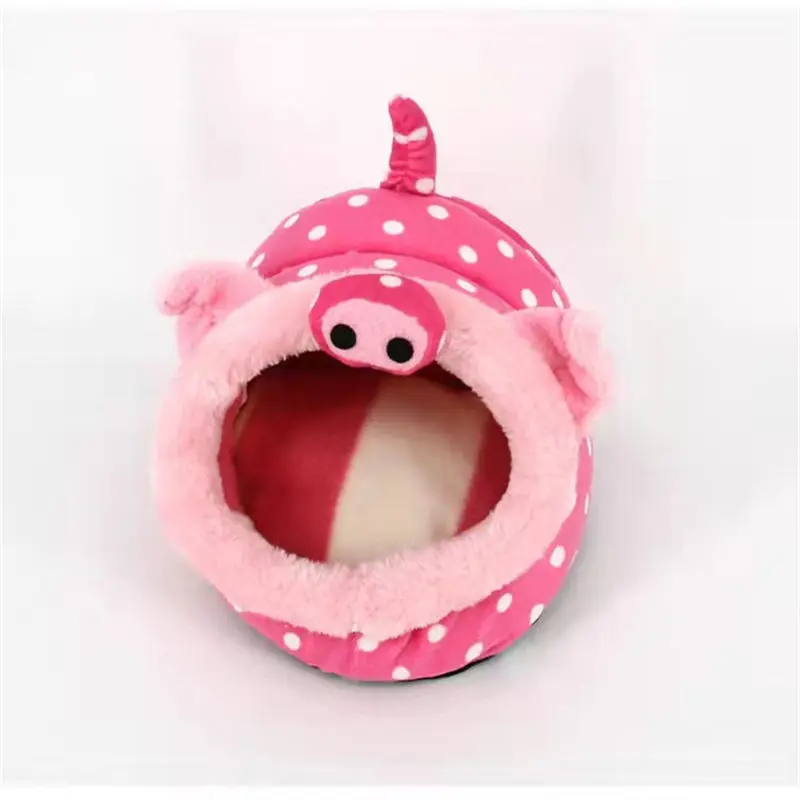pig