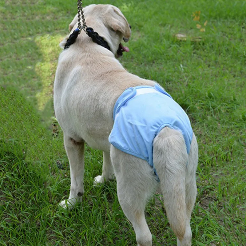 Pet Underwear Physiological Pants For Female Small Dog Washable Durable Doggie Diapers Underwear Short Diaper XS-XL dog diapers pet diapers dog nappies