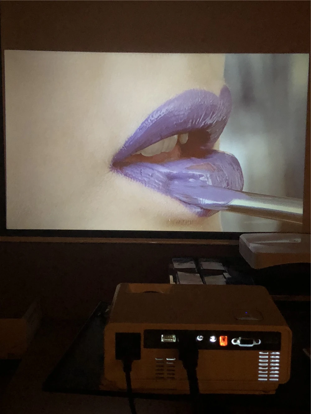 RD-810 real projection photos(2)