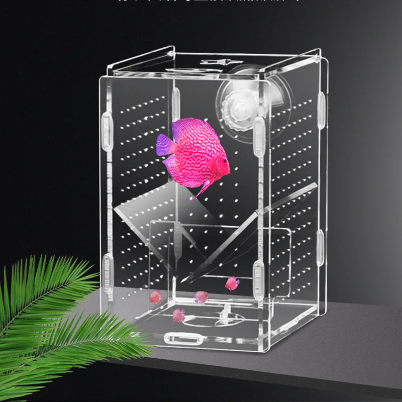 大サイズ水槽隔離ボックスグッピー繁殖小魚稚魚分離ネットアクリル水族館30xxcm Aliexpress Home Garden