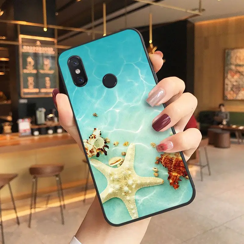 beach starfish blue sky