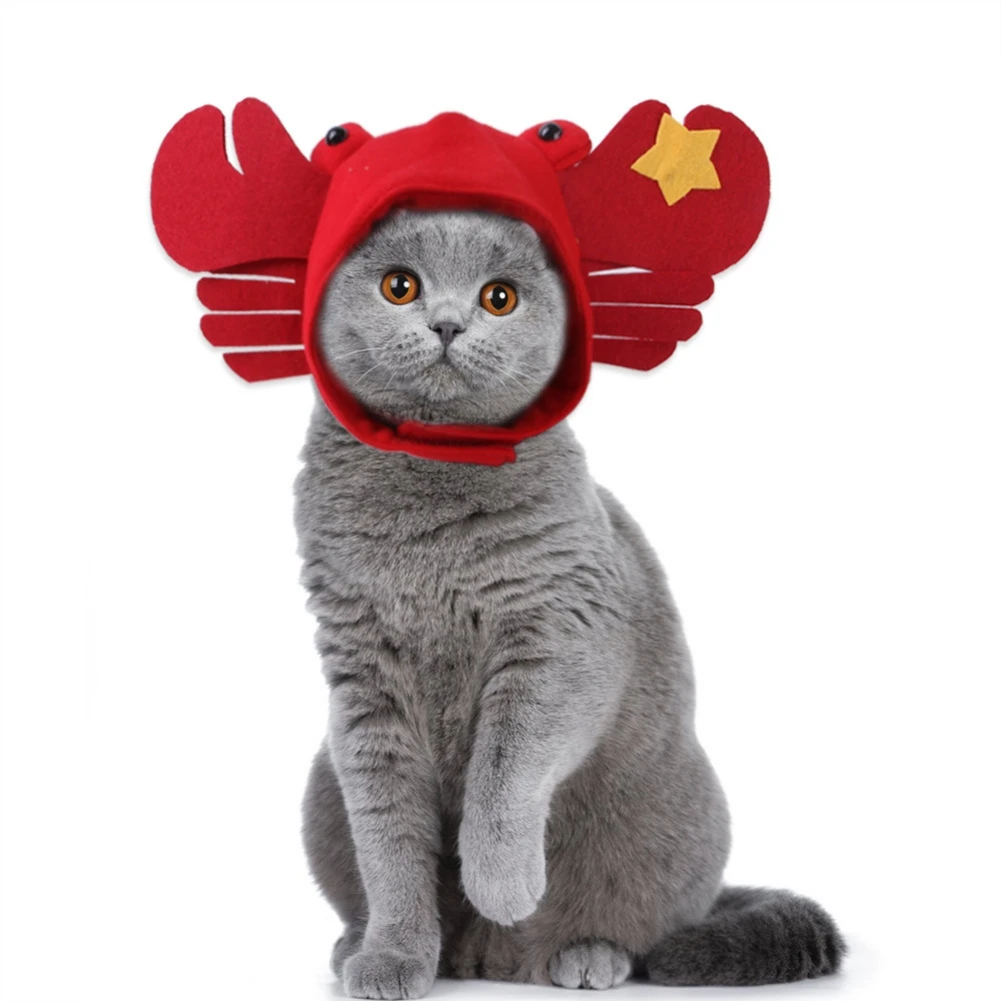 Chapeau En Forme De Crabe Pour Animaux De Compagnie Pour Fete D Halloween Costume De Cosplay