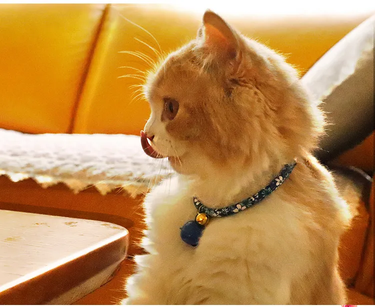 Шиацу Pet Colllar с колокольчиком, ожерелье для кошки, японское Фортуна, кольцо для шеи кошки, Чокеры для Kitty Kat, товары для домашних животных, красный/синий/серый