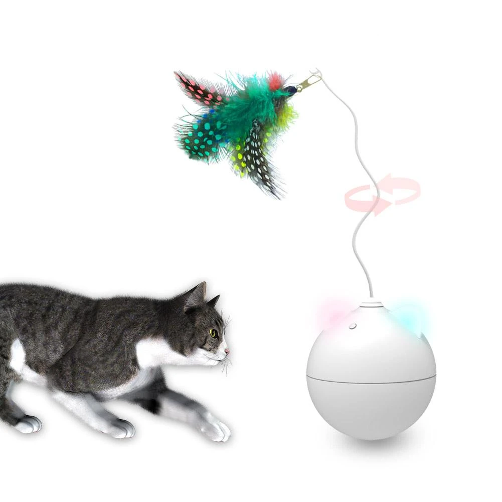 cat robot toy