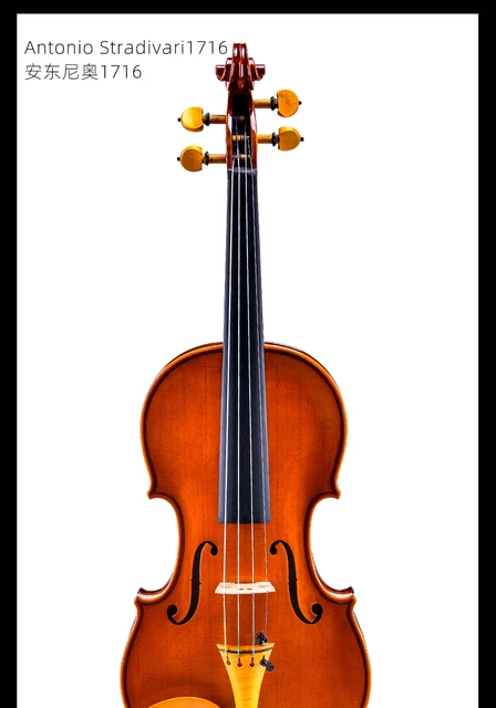 専用 バイオリンマスター様 PECORINA 様専用❣️】HIMA カーボン