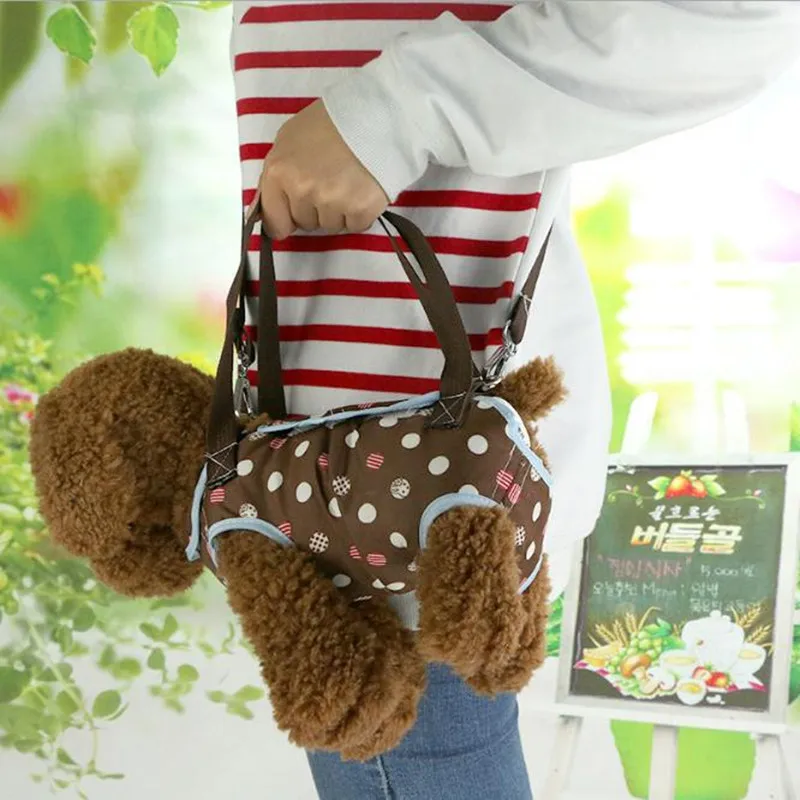 Dog-Carrier Pet-Bag Cat-Handbag Puppy-Carrying Travel Chihuahua Portable Yorkshire