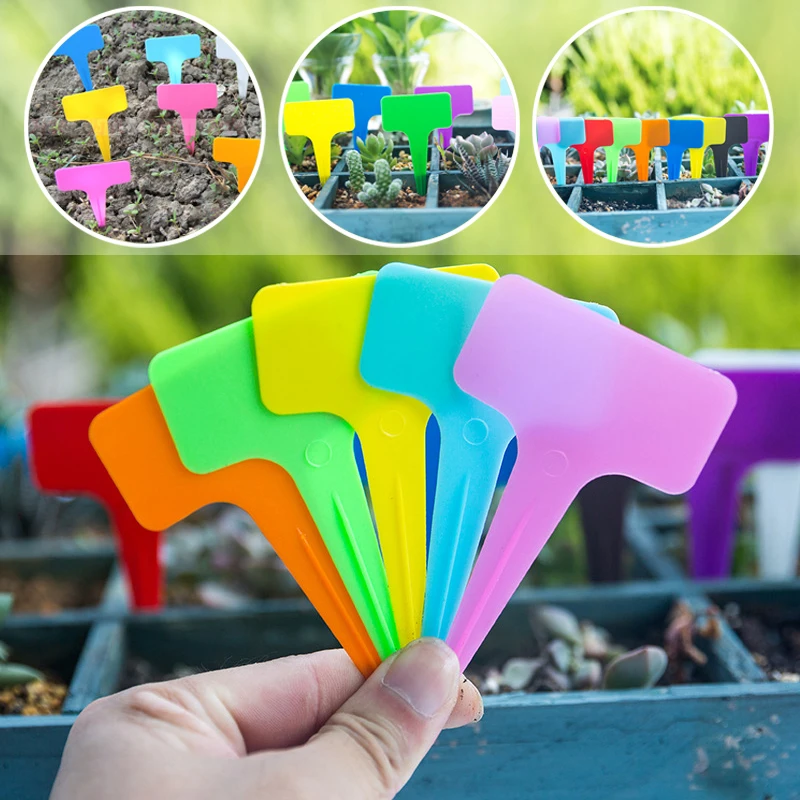 Plastic Plant Labels Garden Markers T Type Gardening Name Tags Herbs Pots 