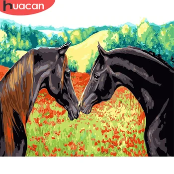 

HUACAN DIY Painting By Number Horse Pictures By Numbers Animal Kits Drawing On Canvas Hand Painted Paintings Art Gift Home Decor