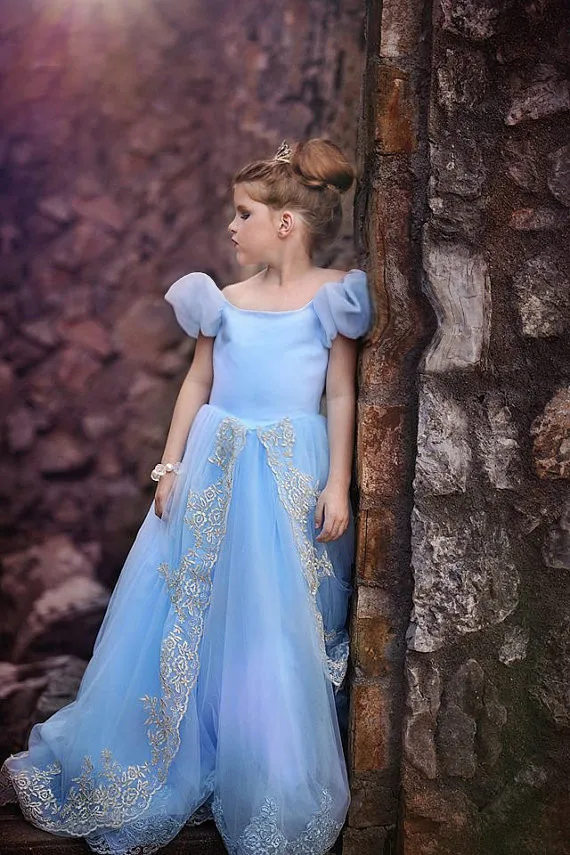 

Cinderella Mopping Long Skirts Spring And Summer Flower Boys/Flower Girls Dress Frozen Princess biao yan qun Girls Dress
