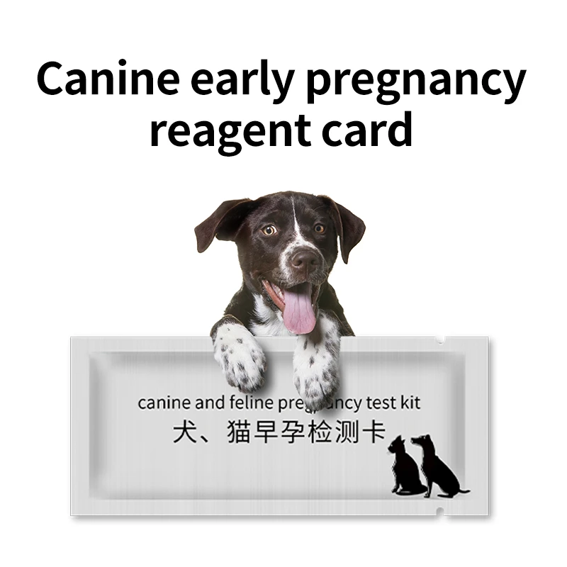 3個ペット妊娠検査ストリップ犬猫妊娠検査カード犬ネコ妊娠テスターキットペット用品ペット病院犬新しい 給餌 給水用品 Aliexpress 3個ペット妊娠検査ストリップ犬猫妊娠検査カード犬ネコ妊娠テスターキットペット用品ペット病院犬新しい 給餌 給水用品 Aliexpress