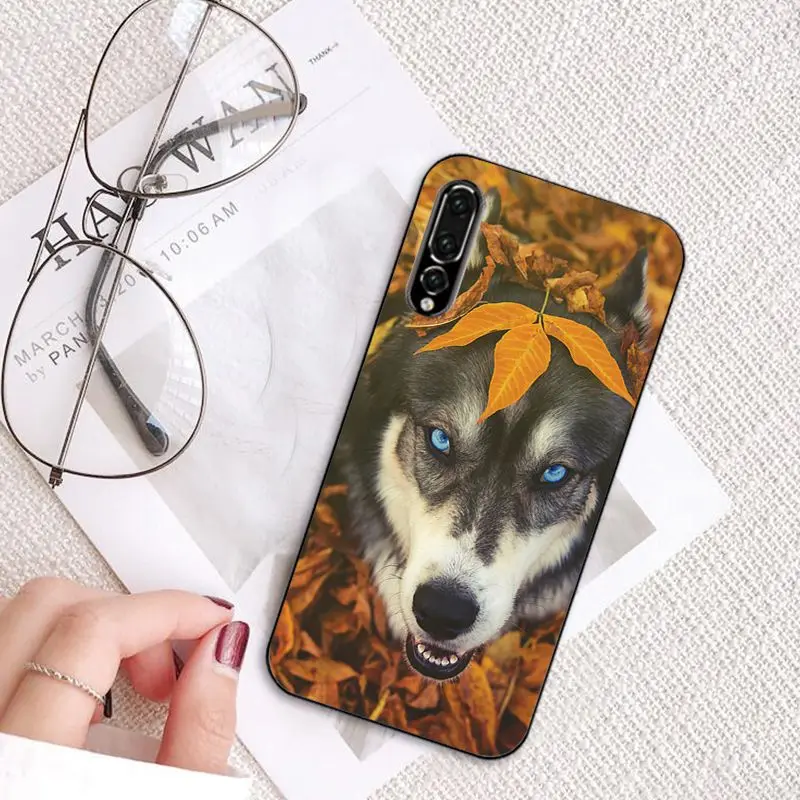 MaiYaCa животных Собака Хаски чехол для телефона для huawei P20 P30 P20Pro P20Lite P30Lite PSmart P10 9Lite