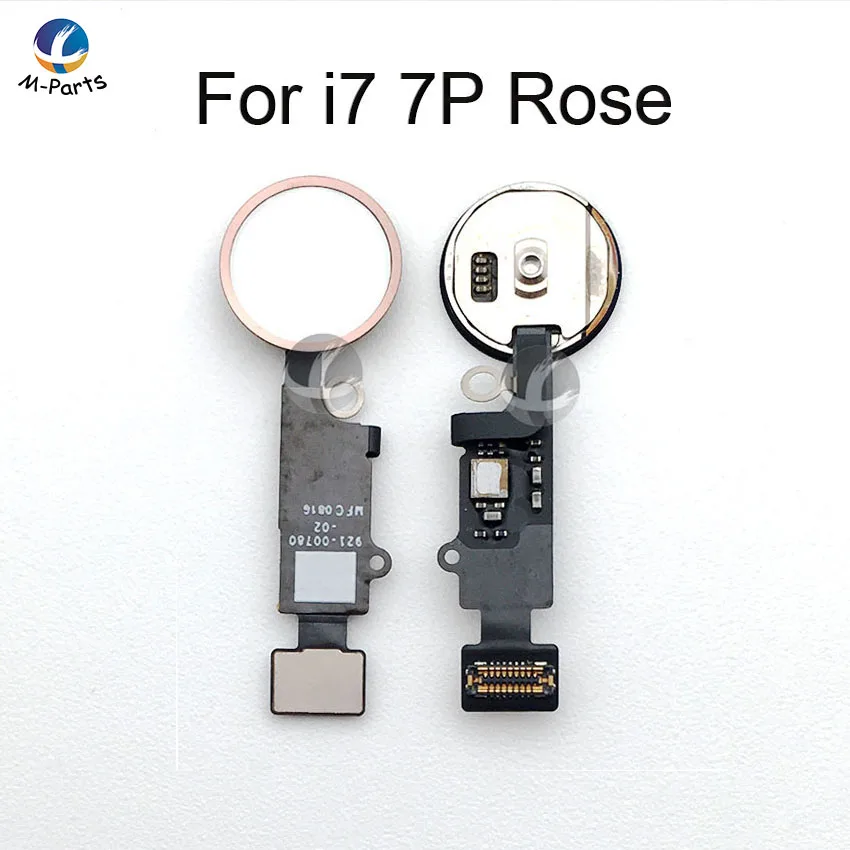 7 7P玫