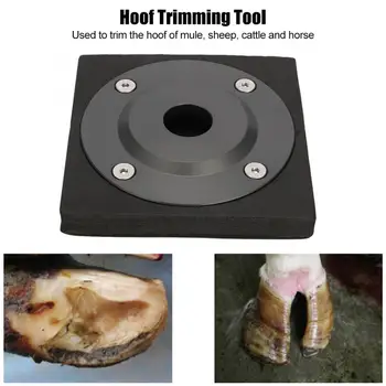 

Hoof Trimming Disc 4 Blades Aluminium Alloy Livestock Hoof Trimming Disc Plate Cutter for Sheep Cattle Horse Hoof Trimming Blade