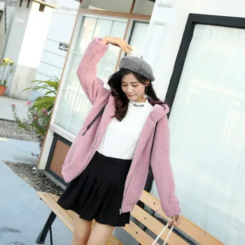 

Winter Fur Thickened Warm Coat Women Hoodies 2019 Spring Imitation Lamb Loose Korean Plus Size Hoodie Women Sweatshirt