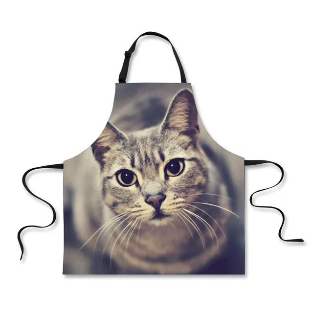 HMM999R HUGSIDEA Universe Galaxy Cats BBQ Apron Funny Animal Space Cat Eat Pizza Design Cook Apron for Chef Women Men Sleeveless Aprons - Цвет: HMM999R