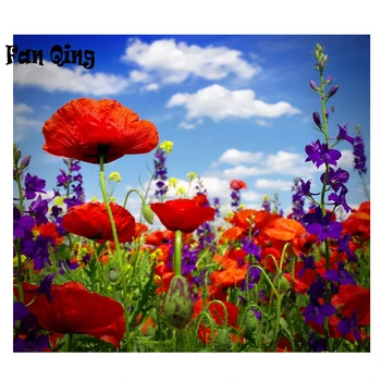 

Full Square/Round Drill 5D DIY Diamond Painting "Poppy flower" Embroidery Cross Stitch 5D Home Decor Gift