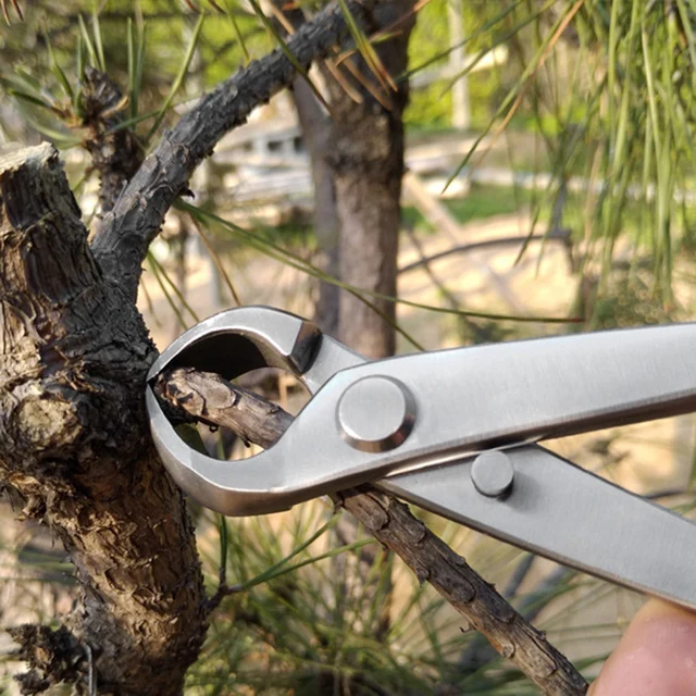 180 Mm -Es Rozsdamentes Acél Gombvágó Golyó Nyíró Olló Tájmodellezés Kert Bonsai Szerszámok - Image 3