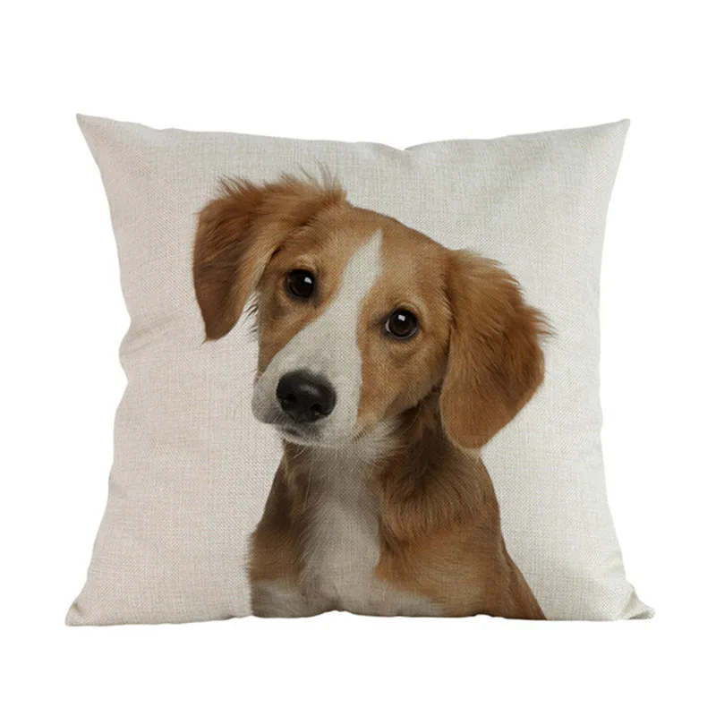 Cute-Puppy-Animal-Pet-Breed-Dogs-Dachshund-Corgi-Pomeranian-Shepherd-Labrador-Bulldog-Pillow-Case-Home-Shop.jpg_640x640 (7)