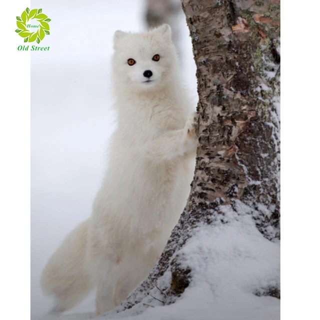 Arctic Fox - Full Round - Diamond Painting (40*60cm)