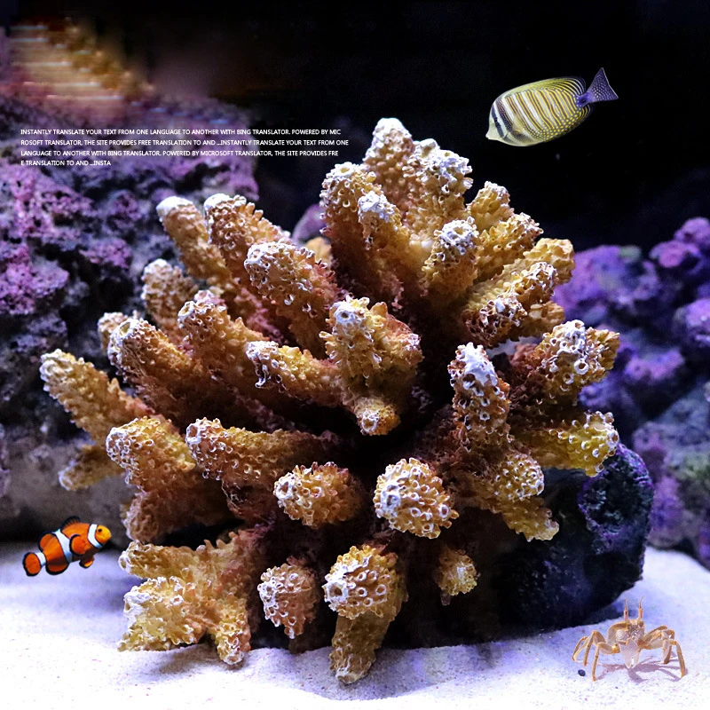 10221259029_917857823