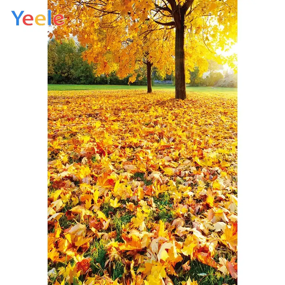 Yeele 写真秋背景森黄色の葉ベビーシャワー子供の Photocall Photophone Background Aliexpress