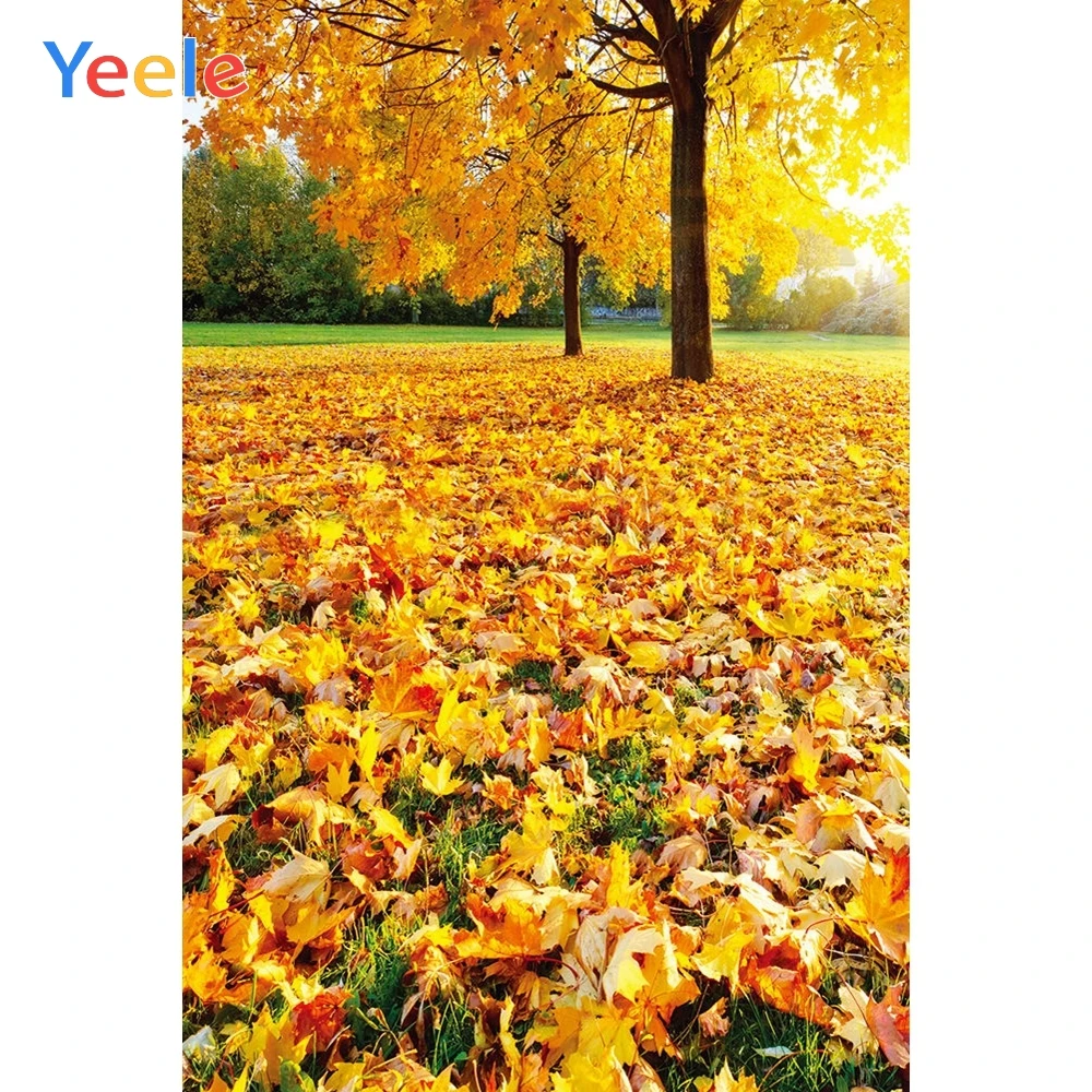 

Yeele Photography Autumn Backdrop Forest Yellow Leaves Baby Shower Children Background For Photo Studio Photocall Photophone
