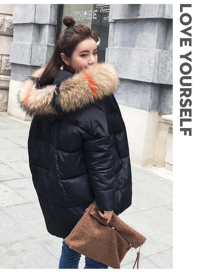 9036731901_1006637240