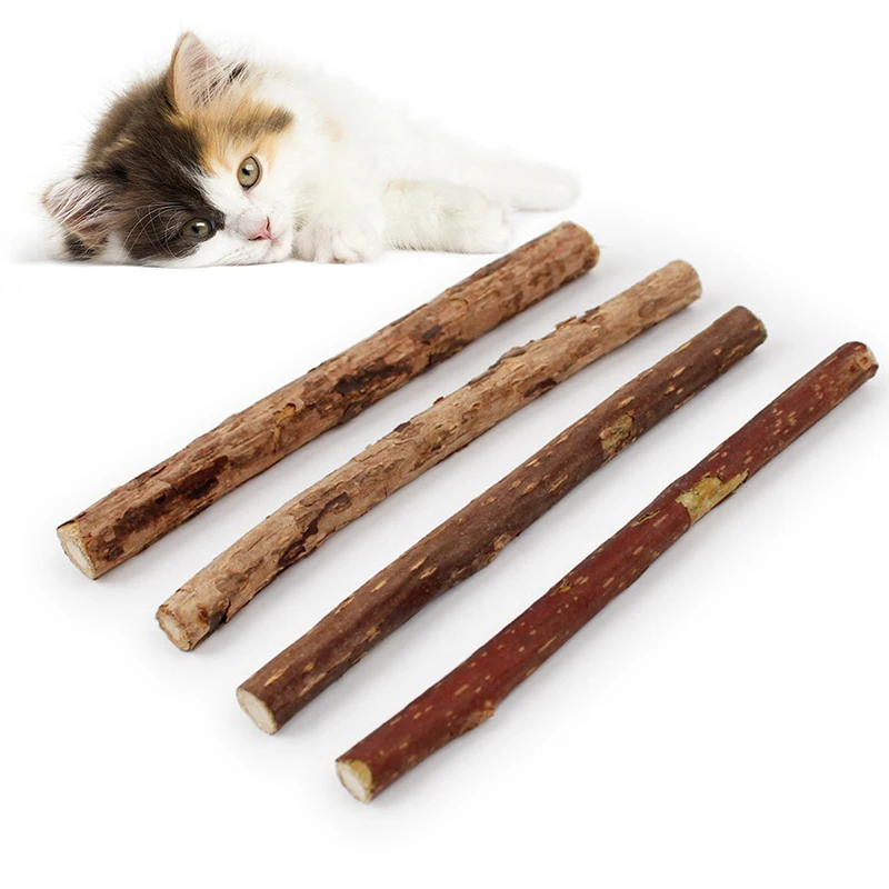 Pet Cat деревянные молярные игрушки Actinidia Polygama закуски для котенка кошки чистки зубов домашних животных самоинтерактивные игрушки-Жвачки принадлежности AXIR