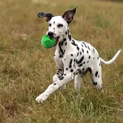 Промо-акция! Dog Treat Ball-интерактивное лечение дозирующая игрушка для больших и средних собак-уменьшение скуки IQ Обучение Чистка зубов Ch