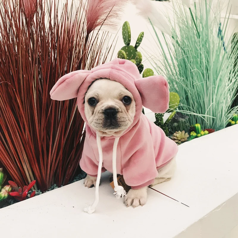 French Bulldog Clothes Winter Dog Hoodies Pug Clothing Pet Outfit Sweatshirt Cat Yorkie Poodle Pomeranian Schnauzer Corgi Coat