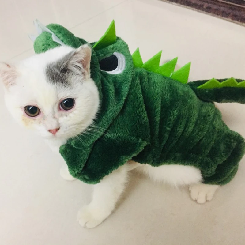 Disfraz bonito de dragón de Gato, Ropa de abrigo de invierno para gatos,  Ropa para perros, productos para Mascotas, máscaras, Ropa de Gato|Ropa para  gatos| - AliExpress