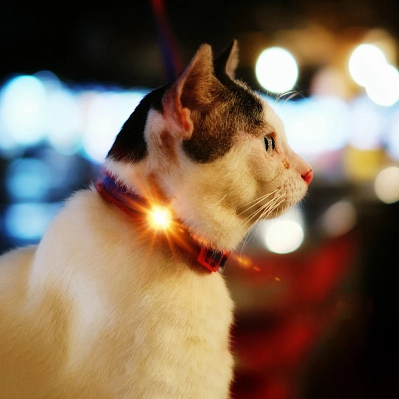 Яркий ошейник для собак, светящийся в темноте, светодиодный фонарик, кошачий поводки собачьего ошейника, светящаяся подвеска, ожерелье