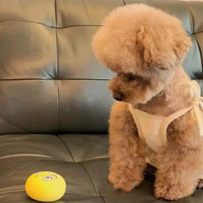 Резиновая Собака Щенок Pet играть скрипучий мячик для жевания игрушки с лицом получить яркие шары TP899