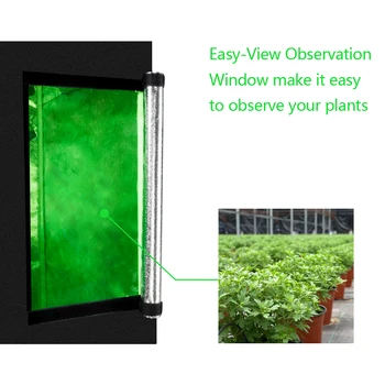 

Plant Growing Tent High-grade Home Use Dismountable Hydroponic Plant Growing Tent with Window resisting any intense Sunlight