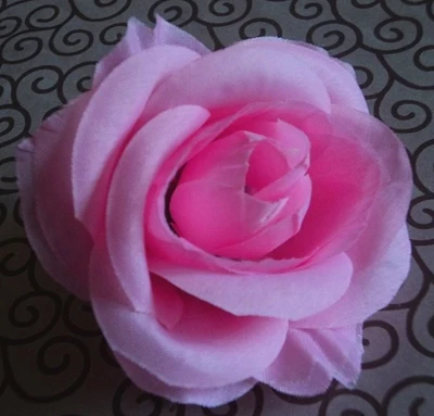 TB2WBAWgVXXXXaKXXXXXXXXXXXX_!!53598555.jpg_400x400