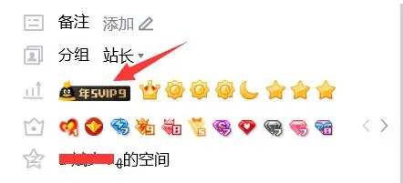 QQ上线大王超级会员图标 可自定义样式