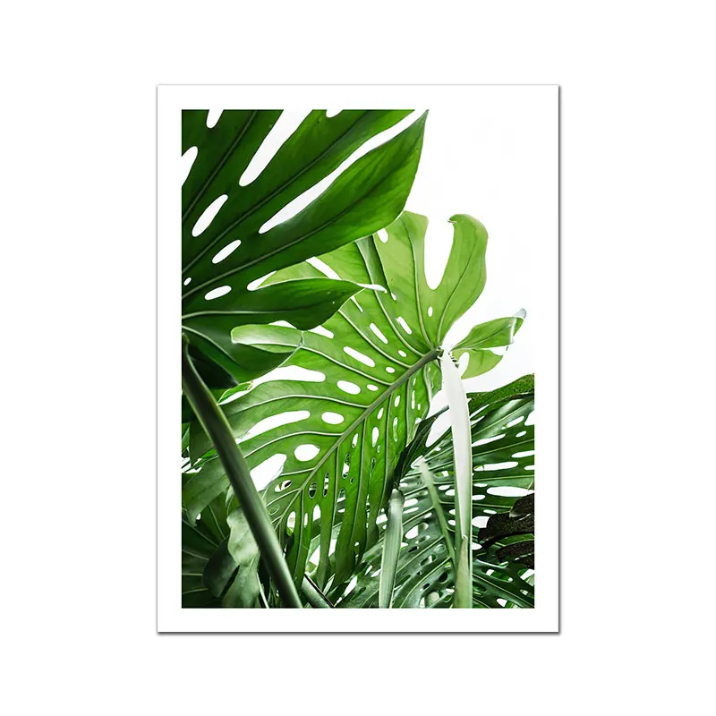 Monstera-Deliciosa-Poster-Plant-Flower-Leaf-Canvas-Painting-Nordic-Wall-Art-Pictures-For-Living-Room-Modern (6)