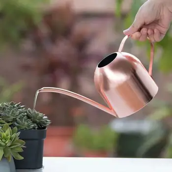 

Stainless Steel Watering Pot Gardening Potted Small Watering Can Gold Color Indoor Succulent Long Watering Flower Kettle 500ml