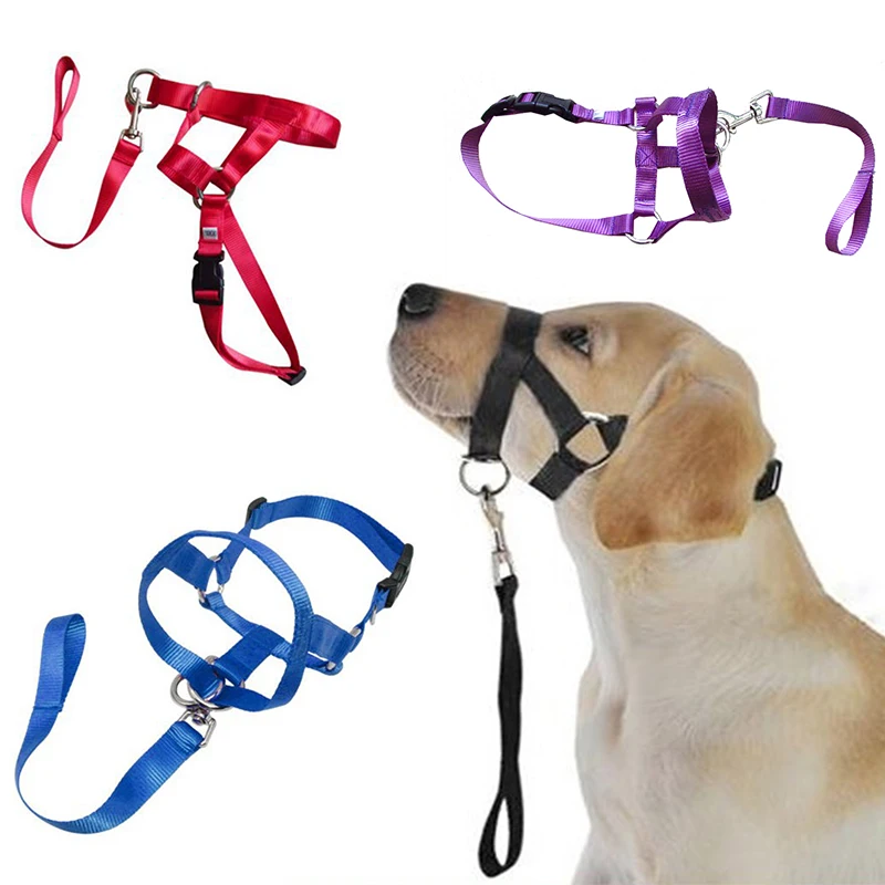 Creative Dog Halter Halti Training Head Collar Gentle Leader Harness Polyester Breakaway All Seasons Usefull Harnesses Lead Hot