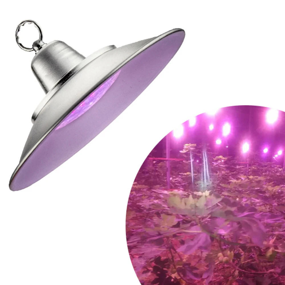 

50W 36W 24W Grape Growing Light Blue Red LED full spectrum 135° fruit sweetening Light Greenhouse Flower plant growth lamp Ip65