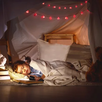 

2 Pcs Adorable String Lights LED Light String for Bedroom Home Party