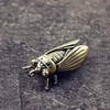cicada